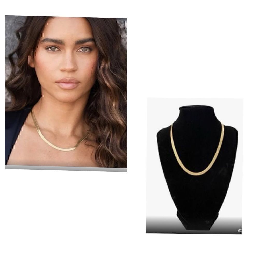 NWT Jennifer Zeuner Hamilton Chain 14k  Gold  Plated Herringbone Chain